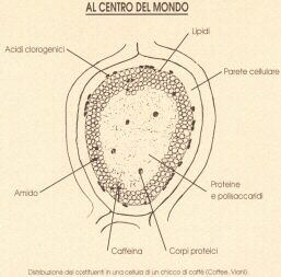 Al centro del mondo....